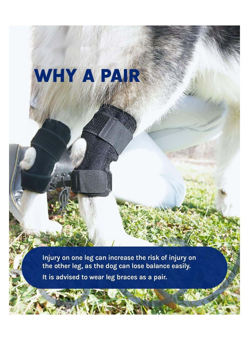 SOLARAE 1 Pair Dog Canine Front Leg Brace for Rear Hock Ankle Canine Hind Leg Joint Compression Wrap for Torn ACL CCL Injury and Sprain Protection Wound Care and Loss of Stability Size Large - Image 5