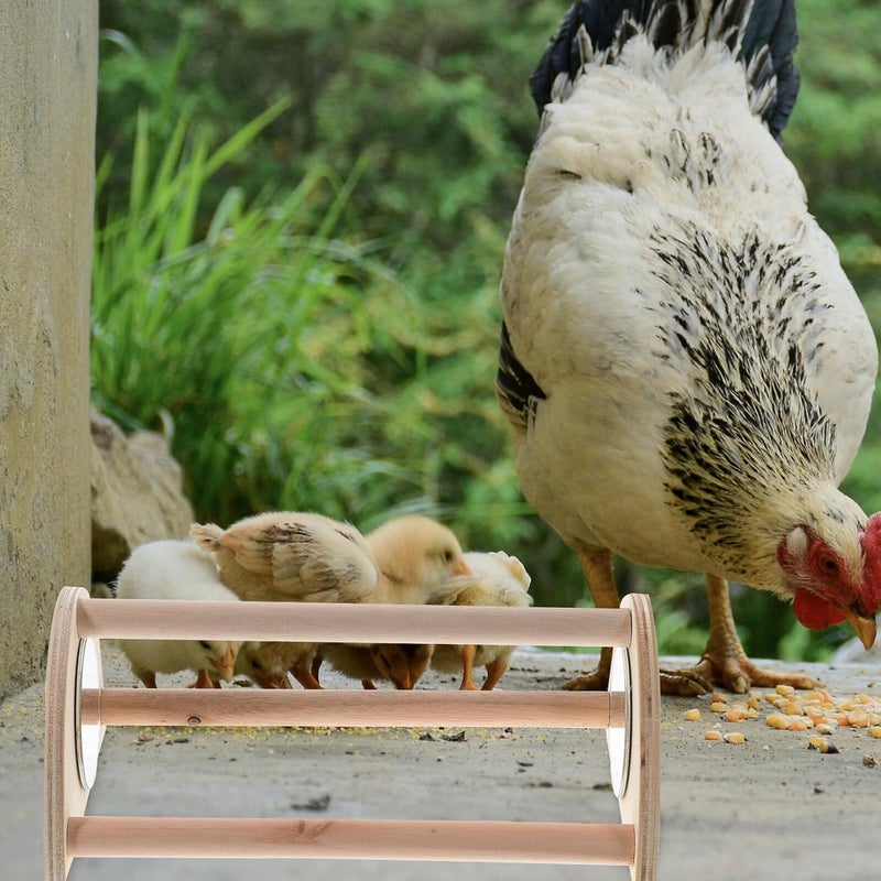 Chick Wooden Stick and Chicken Standing Perch Roosting Bar, Solid Wood Brooder Perch for Chicks, Training and Resting Support for Poultry and Domestic Birds - Image 5