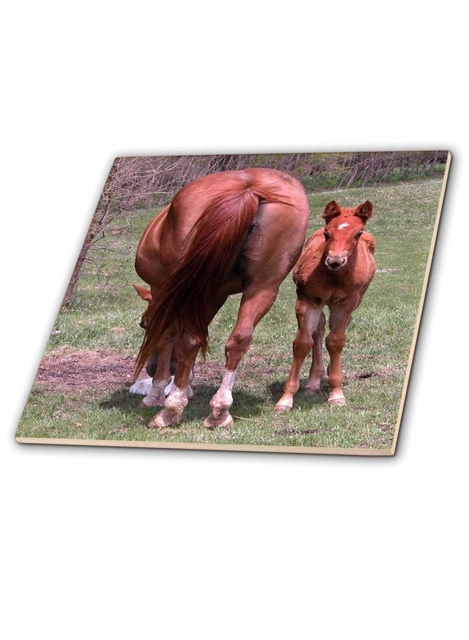 3DROSE ct_11570_1 The End and The Beginning, Horse with Baby - Image 2