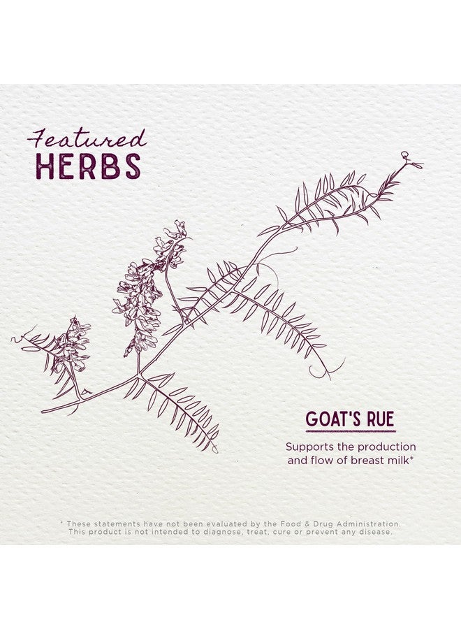 WishGarden Herbs Goat's Rue Lactation Supplement - Organic Herbal Tincture to Increase Breastmilk Supply, Fenugreek Free Lactation Supplement, Breast Milk Supply Boost, Flow, Quality & Production, 4oz - Image 4