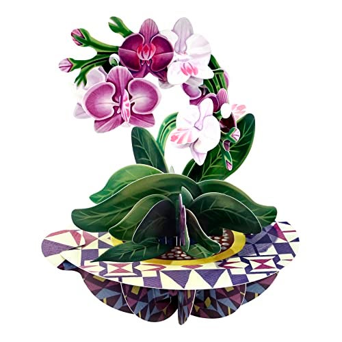 SANTORO Pirouette, 3D Pop Up Greeting Card - Orchid - Birthday Gift for Her, Mum, Daughter, Wife, Girlfriend | Anniversary, Thinking of You, Thank You Card | Flower Card For Mother's Day - Image 1