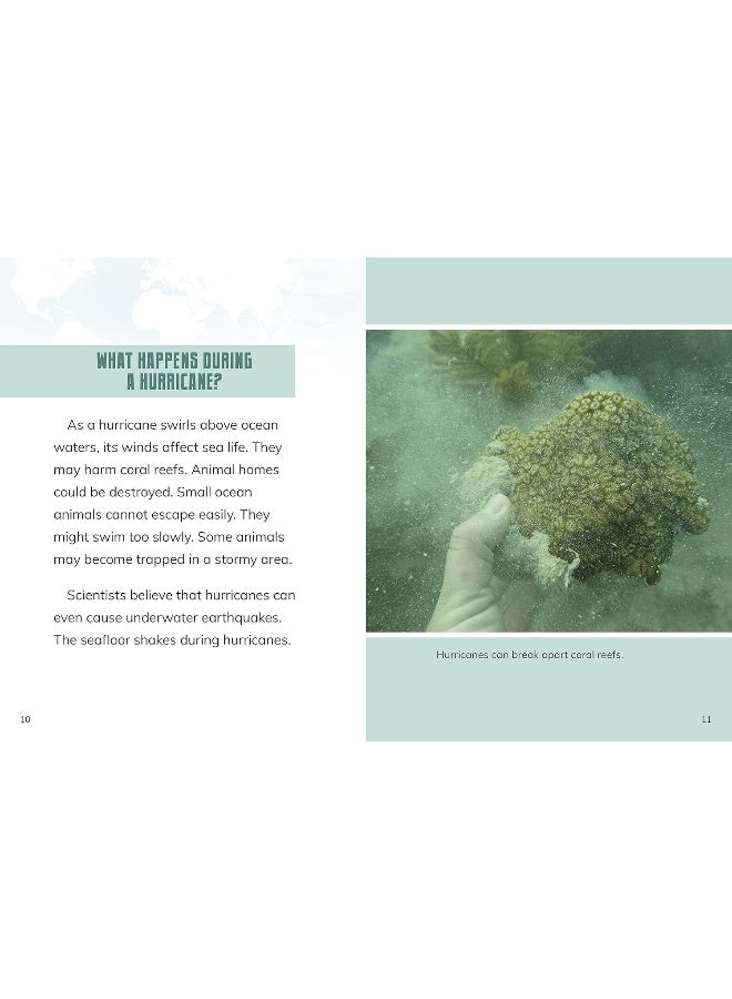 Hurricanes - Image 1