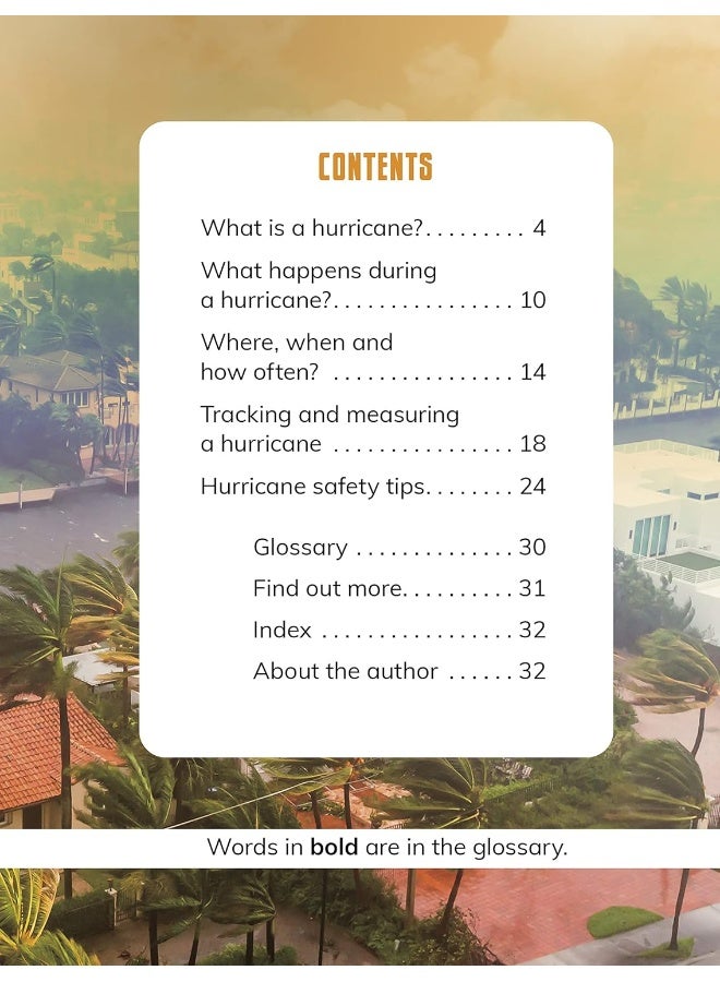 Hurricanes - Image 2