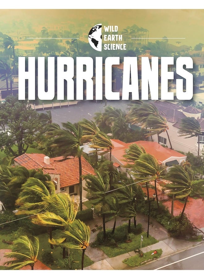 Hurricanes - Image 4