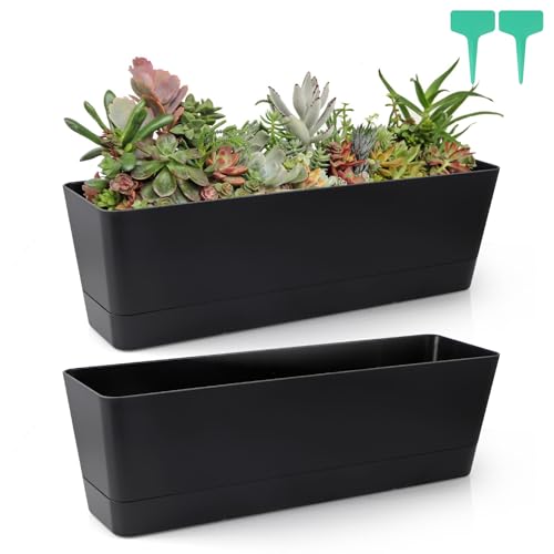 Skelang 2 Pcs Rectangular Plant Pot 167 Flower Planter Box with Drainage Hole Windowsill Container with Tray for Succulents Herbs Cacti Black - Image 1