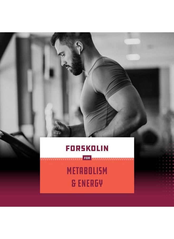 Natures Craft - 100% Forskolin Supplement For Size Reduction Pure Forskolin Extract Supplement With Potent Coleus Forskohlii 500 Mg For Enhanced Energy For Adults Plantbased Energy Supplements For Women And Men - Image 1