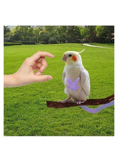 Y&D 1 Pcs Bird Training Leash Adjustable Parrot Flying Strap Rope Universal Flying Traction Lead Durable Outing Gadget Outdoor Training Toy for Birds Parrot Cockatiel Parakeet Lory  - Image 5