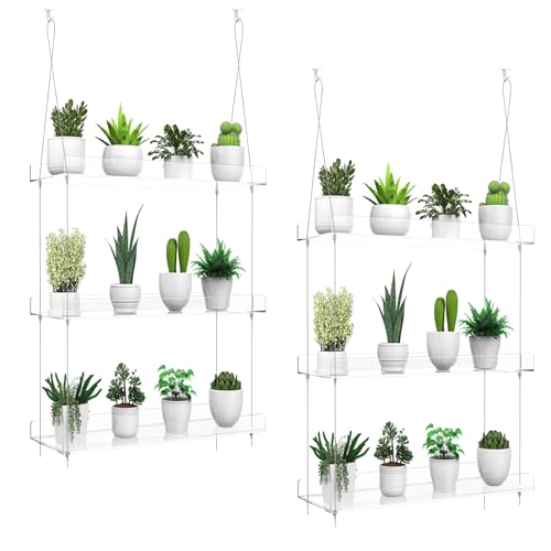 ZerzSemp 2-Pack Hanging Clear Plant Shelves for Windows, 3-Tier Acrylic Window Wall Plant Stand Shelf for Kitchen Window Indoor Gardens, Flower,Fleshy Plant,Herb, Seedling Organization, and Plants Pots Display - Image 1