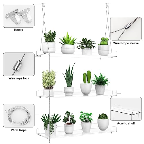 ZerzSemp 2-Pack Hanging Clear Plant Shelves for Windows, 3-Tier Acrylic Window Wall Plant Stand Shelf for Kitchen Window Indoor Gardens, Flower,Fleshy Plant,Herb, Seedling Organization, and Plants Pots Display - Image 4