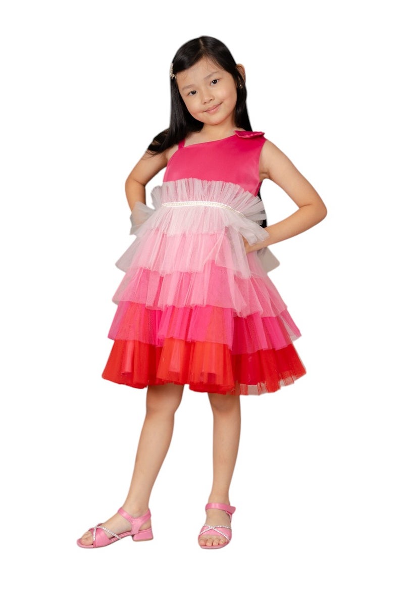 D'Daniela Tiered Tulle Dress - Image 1