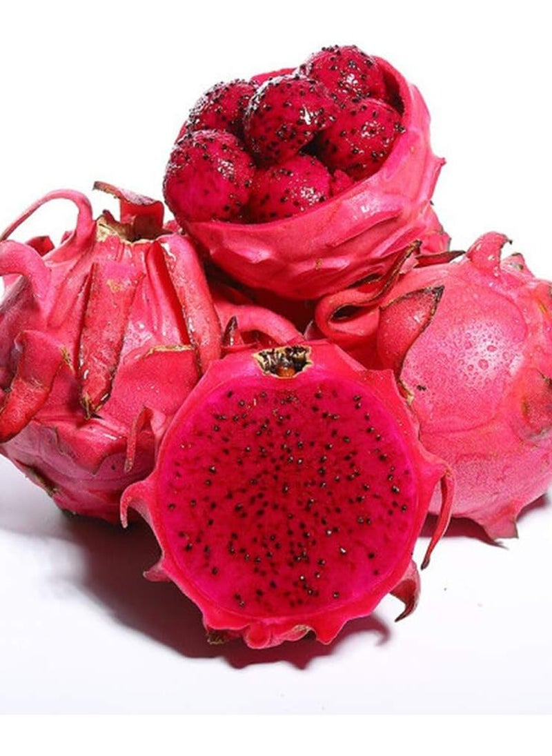 200Pcs Dragon Fruit Seeds