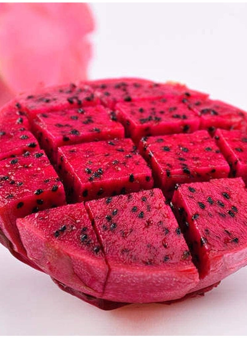 200Pcs Dragon Fruit Seeds