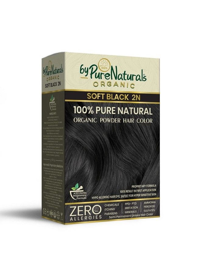 byPurenaturals 100% مسحوق صبغة شعر أسود ناعم عضوي للرجال والنساء 120 جرام; صبغة شعر طبيعية نقية; صبغة شعر خالية من المواد الكيميائية والأمونيا  - Image 1