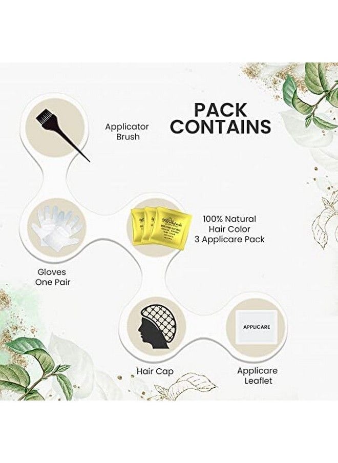 byPurenaturals 100% مسحوق صبغة شعر أسود ناعم عضوي للرجال والنساء 120 جرام; صبغة شعر طبيعية نقية; صبغة شعر خالية من المواد الكيميائية والأمونيا  - Image 5