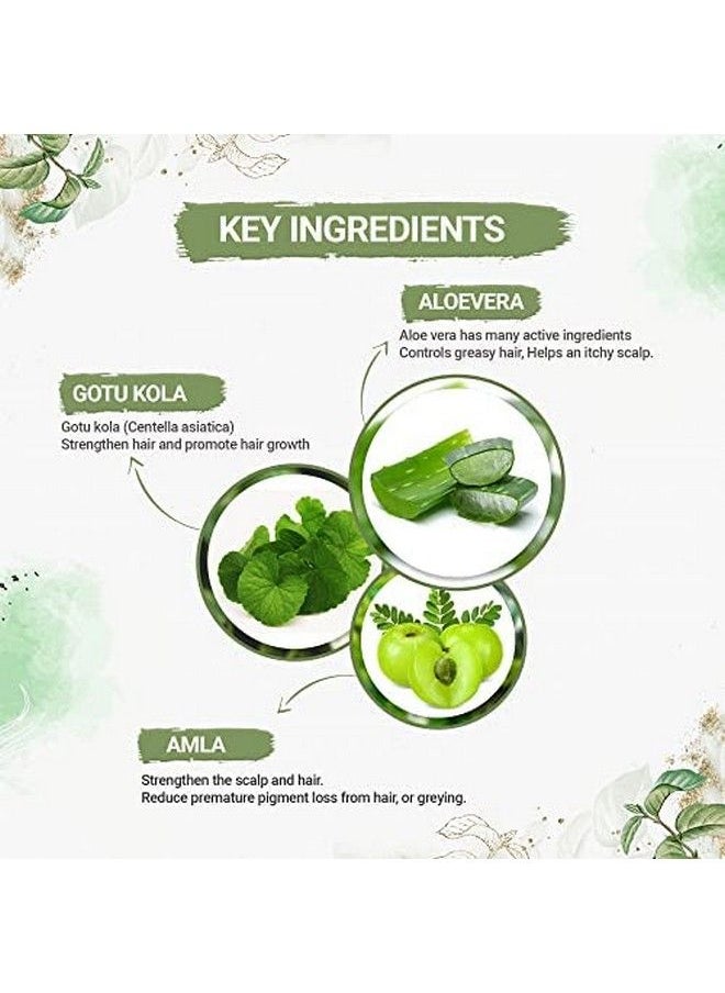 byPurenaturals 100% مسحوق صبغة شعر أسود ناعم عضوي للرجال والنساء 120 جرام; صبغة شعر طبيعية نقية; صبغة شعر خالية من المواد الكيميائية والأمونيا  - Image 3