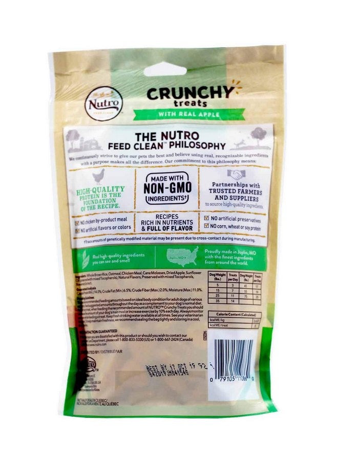 Nutro 10OZ Apple Dog Treat - Image 2