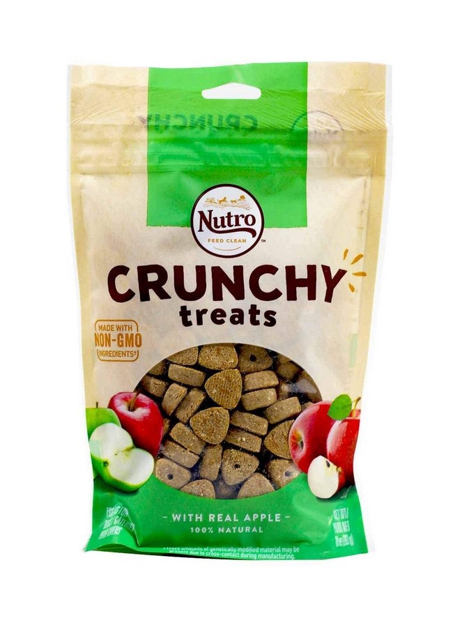 Nutro 10OZ Apple Dog Treat - Image 1