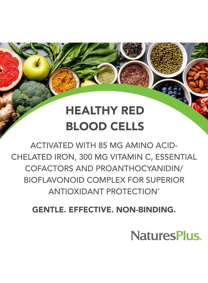 NaturesPlus HemaPlex Iron 30 SlowRelease Tablets 85 mg Chelated Iron Total Blood Health With Vitamin C Bioflavonoids Non GMO Vegetarian Gluten Free 30 Servings - Image 2