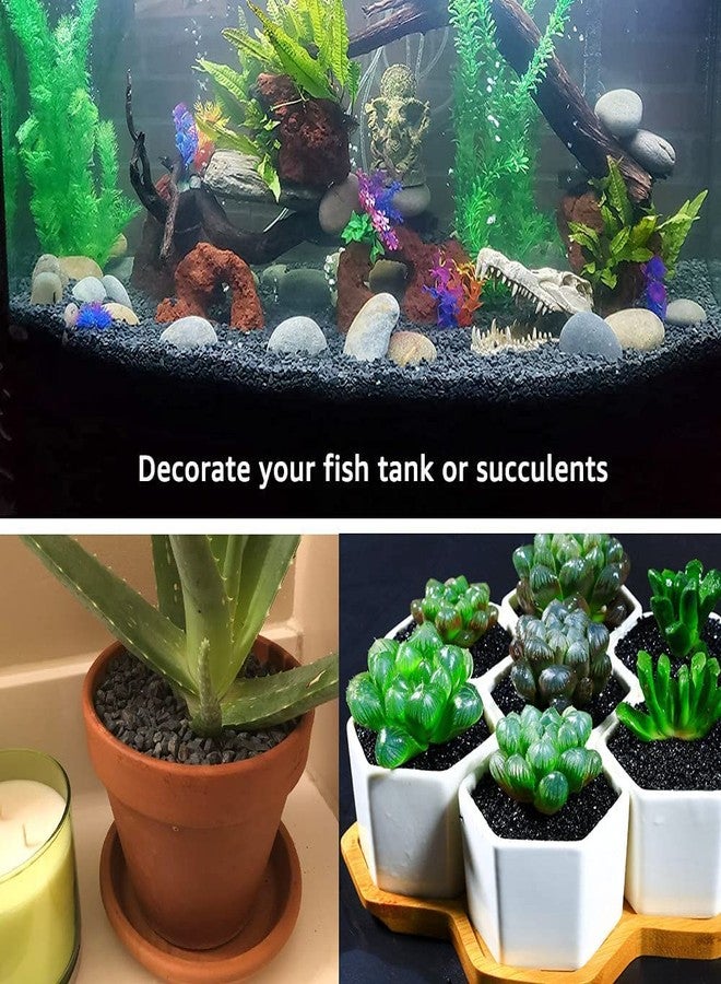 رقائق حصى فاييناتو® الطبيعية متوسطة الحجم باللون الأسود لأحواض السمك والنباتات المنزلية (3 كجم) من إنتاج بيتزلايف وورلد - Image 4