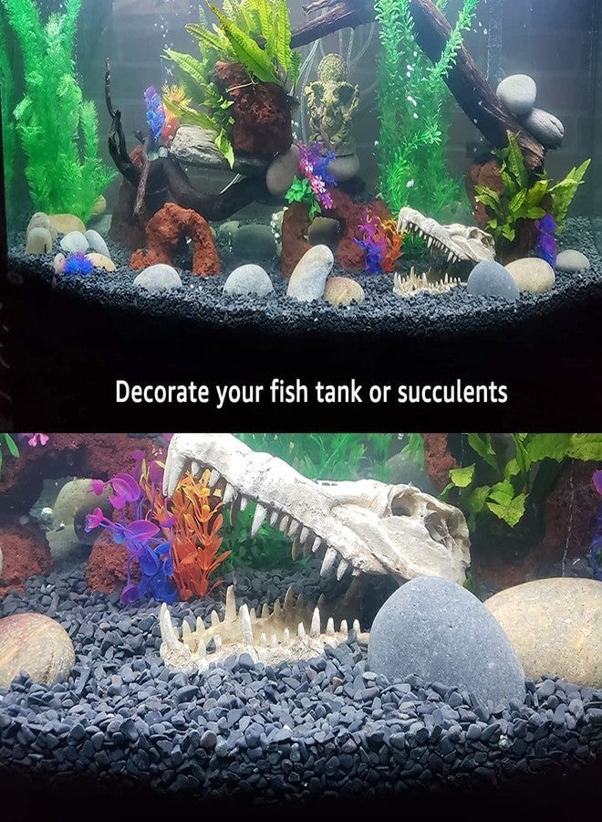 رقائق حصى فاييناتو® الطبيعية متوسطة الحجم باللون الأسود لأحواض السمك والنباتات المنزلية (3 كجم) من إنتاج بيتزلايف وورلد - Image 5