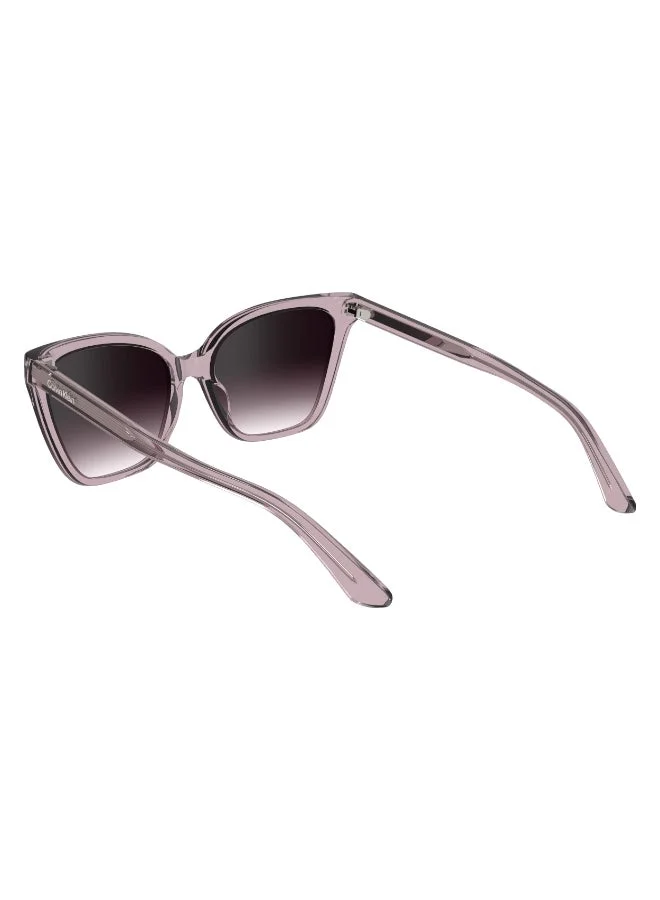 CALVIN KLEIN  FULL RIM INJECTED CALVIN KLEIN SUN CK24507S  | Best Price UAE