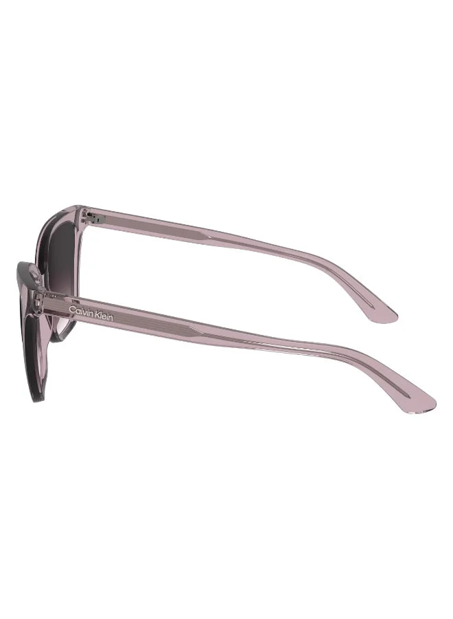 CALVIN KLEIN FULL RIM INJECTED CALVIN KLEIN SUN CK24507S