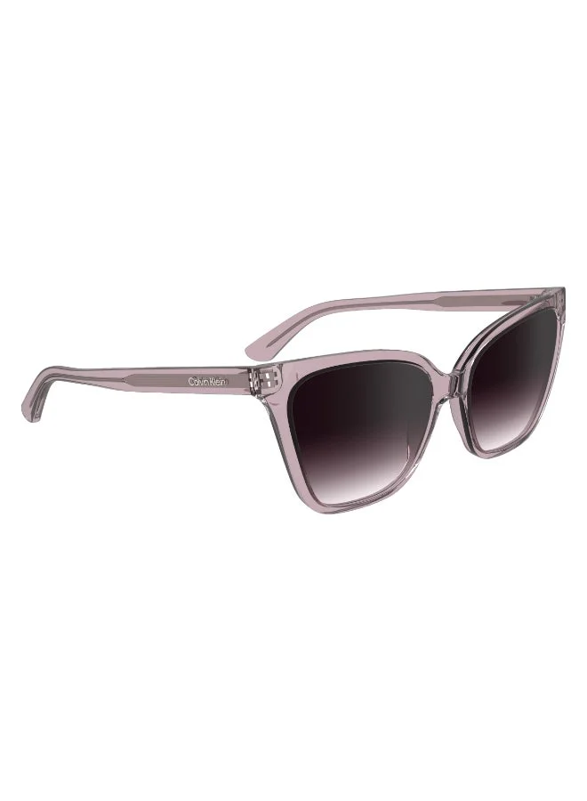 CALVIN KLEIN  FULL RIM INJECTED CALVIN KLEIN SUN CK24507S  | Best Price UAE