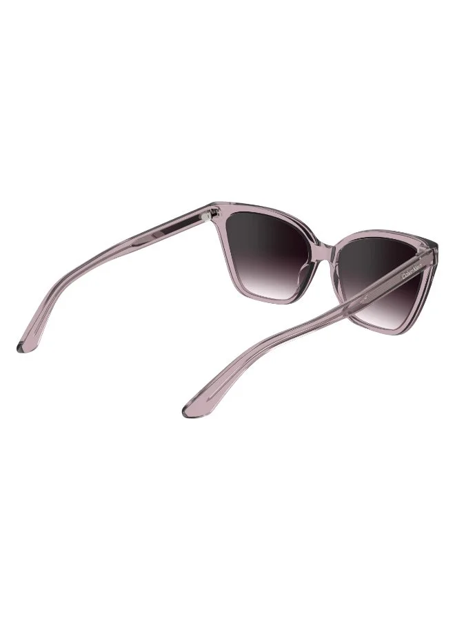CALVIN KLEIN  FULL RIM INJECTED CALVIN KLEIN SUN CK24507S  | Best Price UAE