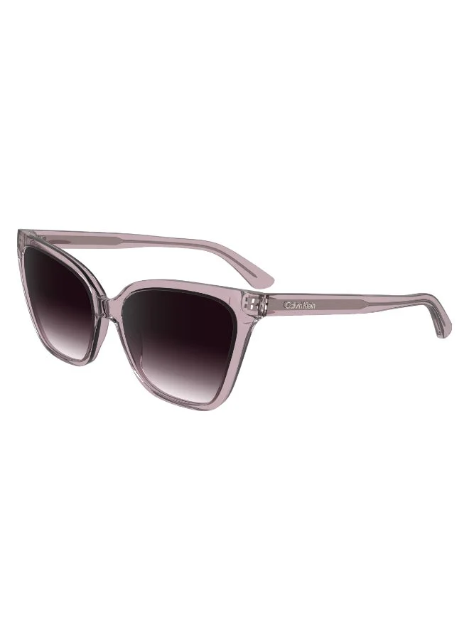 CALVIN KLEIN  FULL RIM INJECTED CALVIN KLEIN SUN CK24507S  | Best Price UAE