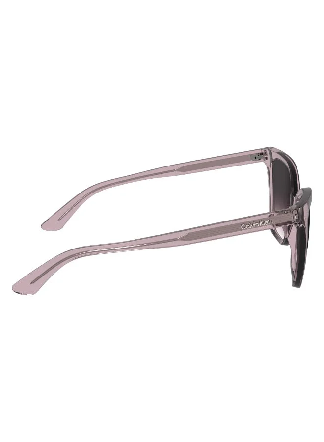 CALVIN KLEIN  FULL RIM INJECTED CALVIN KLEIN SUN CK24507S  | Best Price UAE