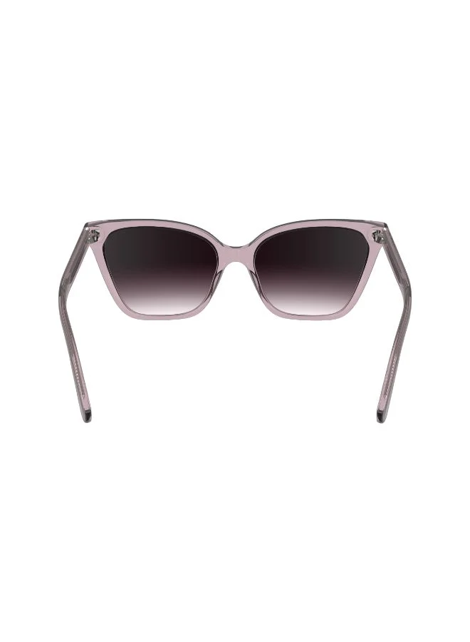 CALVIN KLEIN  FULL RIM INJECTED CALVIN KLEIN SUN CK24507S  | Best Price UAE