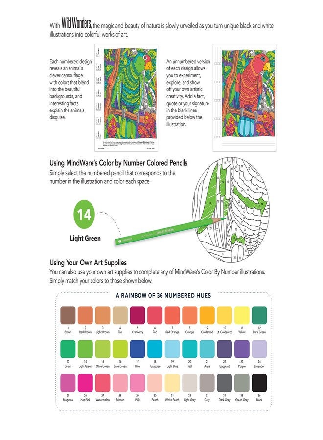 Mindware Color by Number Wild Wonders (Book 1) - Image 2