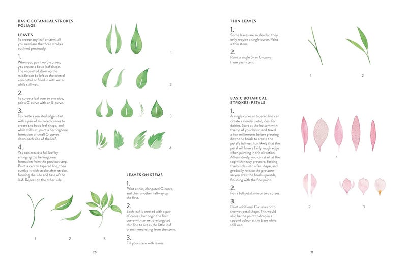 New botanical painting - Image 2