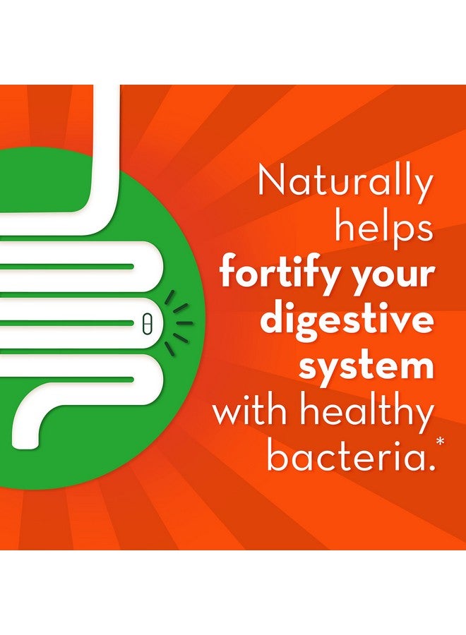 Align Gut Health & Immunity Probiotic Daily Digestive Support For Women And Men Helps Support Immune And Digestive Health 14 Capsules - Image 5