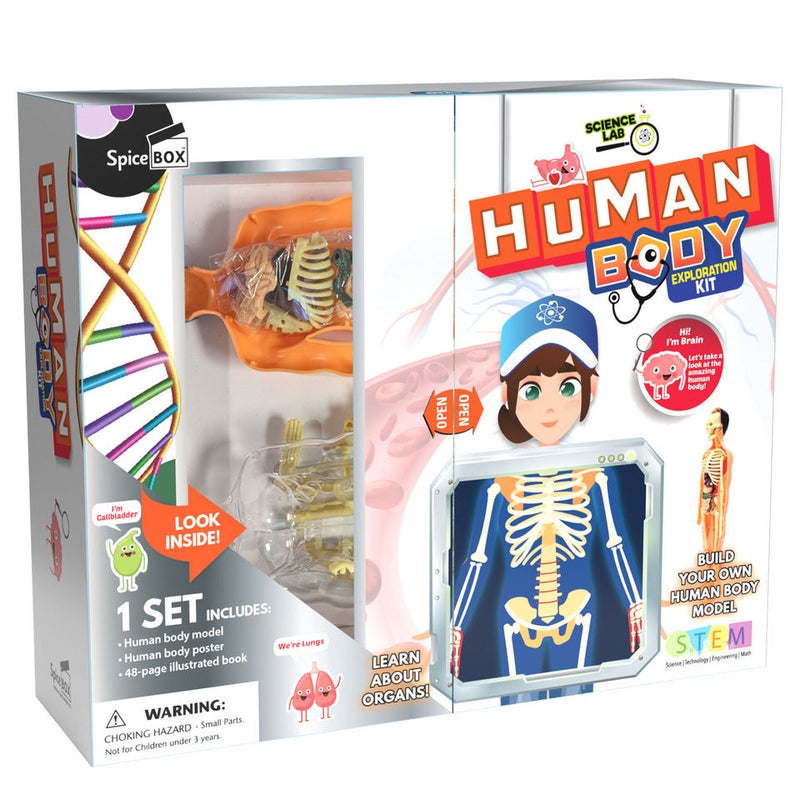 SPICE BOX Sl Human Body 14852