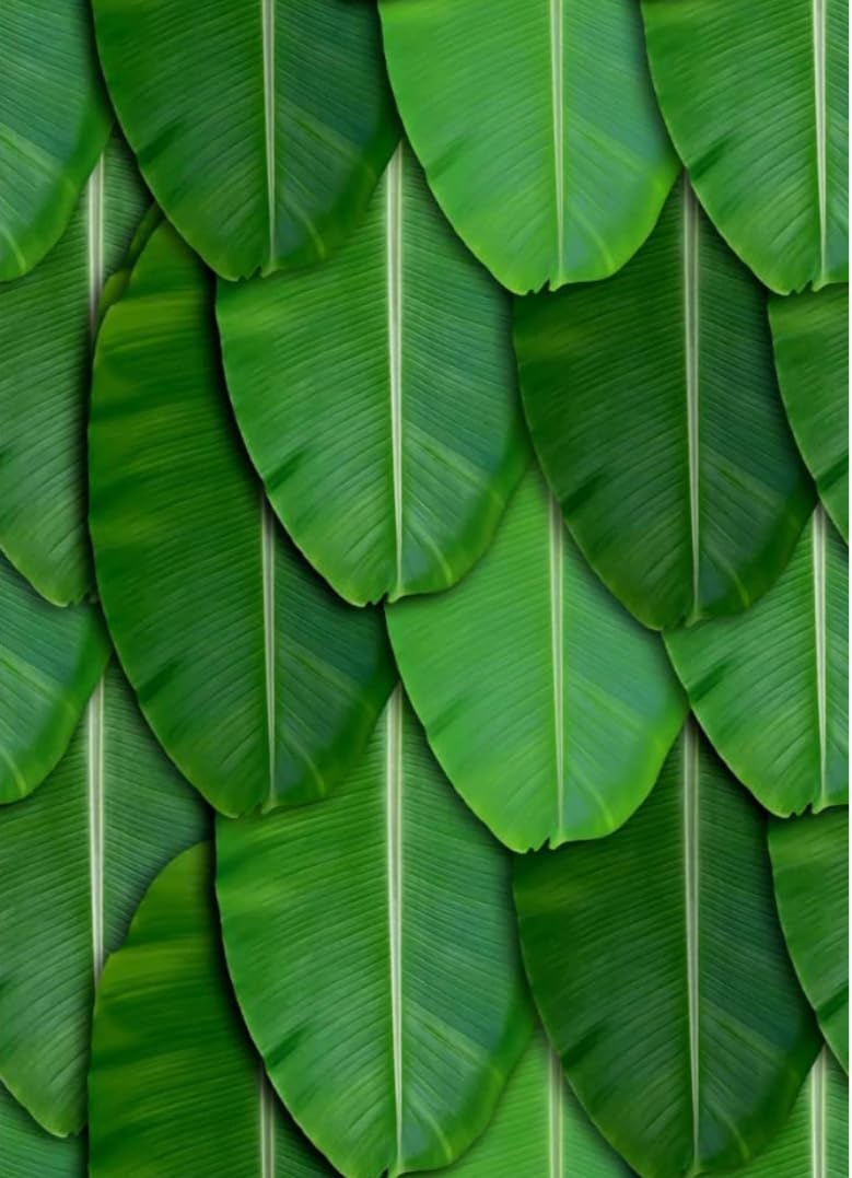 Sri Yagnaa - Backdrop Cloth for Pooja Decoration - M 10 - Traditional Background Curtain Cloth for Festival (5x8 Ft) (Plain Big Banana Leaf Backdrop) - Image 4