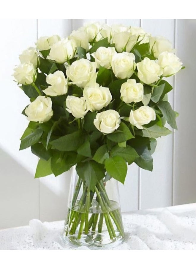 Floral lane Flower Shop White Roses in Vase 