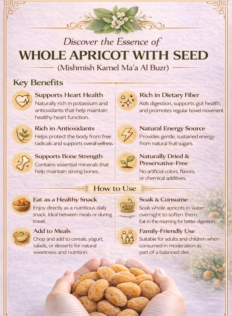 Zahr Dried Whole Apricot with Seed (Mishmish Kamel Ma’a Al Buzr) – Sun-Dried Apricot Fruit with Kernel | Premium Natural Whole Fruit | 100% Pure for Gardening, Horticulture, Botanical & Herbal Use - Image 4
