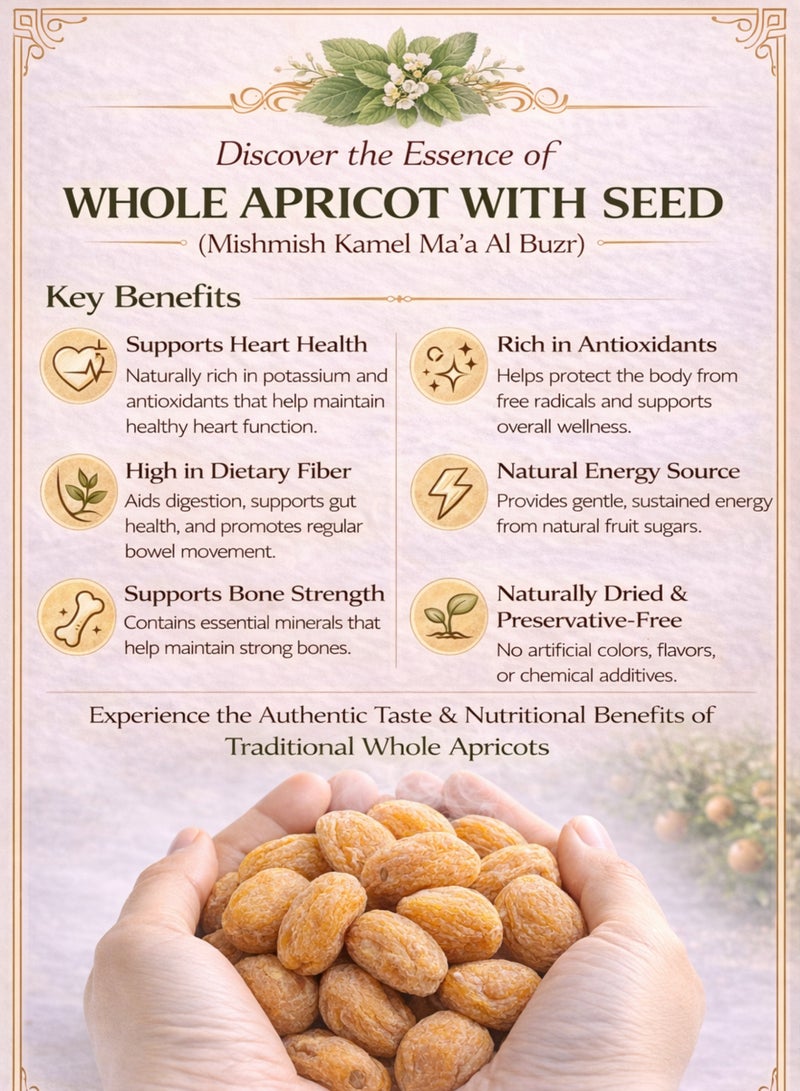 Zahr Dried Whole Apricot with Seed (Mishmish Kamel Ma’a Al Buzr) – Sun-Dried Apricot Fruit with Kernel | Premium Natural Whole Fruit | 100% Pure for Gardening, Horticulture, Botanical & Herbal Use - Image 5