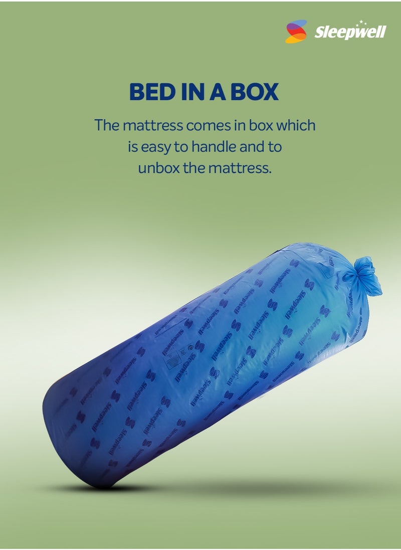 Sleepwell - Sleepwell Utsav Comfort Regular Mattress | Quiltec & Resitec (HR) Foam | Soft-Top Feel | Neem Fresche Technology | | Comfort & Support | Queen Size | (200L X 150W X 17.5H cm) | 2 Yrs Warranty - Image 1