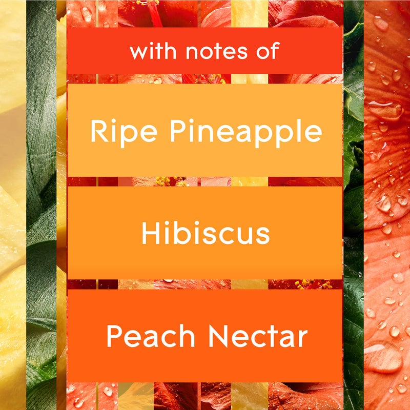 Glade PlugIns Refills Air Freshener, Scented and Essential Oils for Home and Bathroom, Hawaiian Breeze, 6.7 Fl Oz, 10 Count (Packaging May Vary) - Image 5