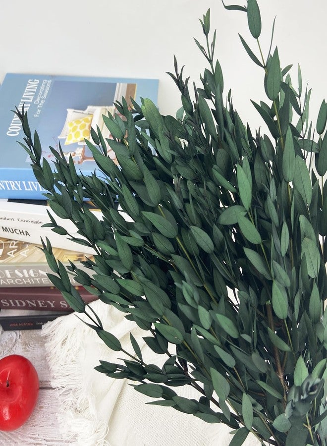 Birtlynn أغصان الأوكالبتوس الخضراء المجففة والمحفوظة من بيرتلين، أكثر من 20 قطعة بطول 16 بوصة، باقات أوكالبتوس طبيعية تدوم طويلاً لتزيين المزهريات والديكور المنزلي ودعائم التصوير والحفلات وحفلات الزفاف، ديكور يمكنك صنعه بنفسك - أخضر - Image 2
