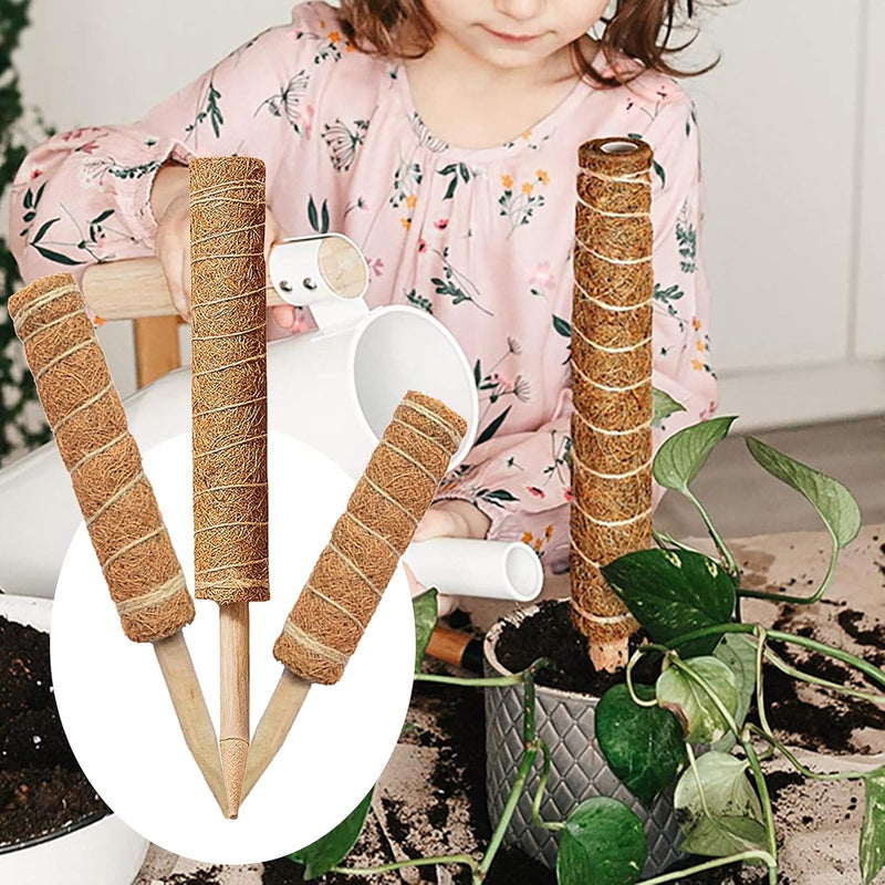 woobles Moss Pole - 12/16/20 Inch Moss Poles for Plants Monstera, 2 Pack Natural Coco Plant Pole for Climbing Indoor Potted Plants to Grow Upwards, Train Creeper Plants Grow Upwards (20Inch) - Image 2