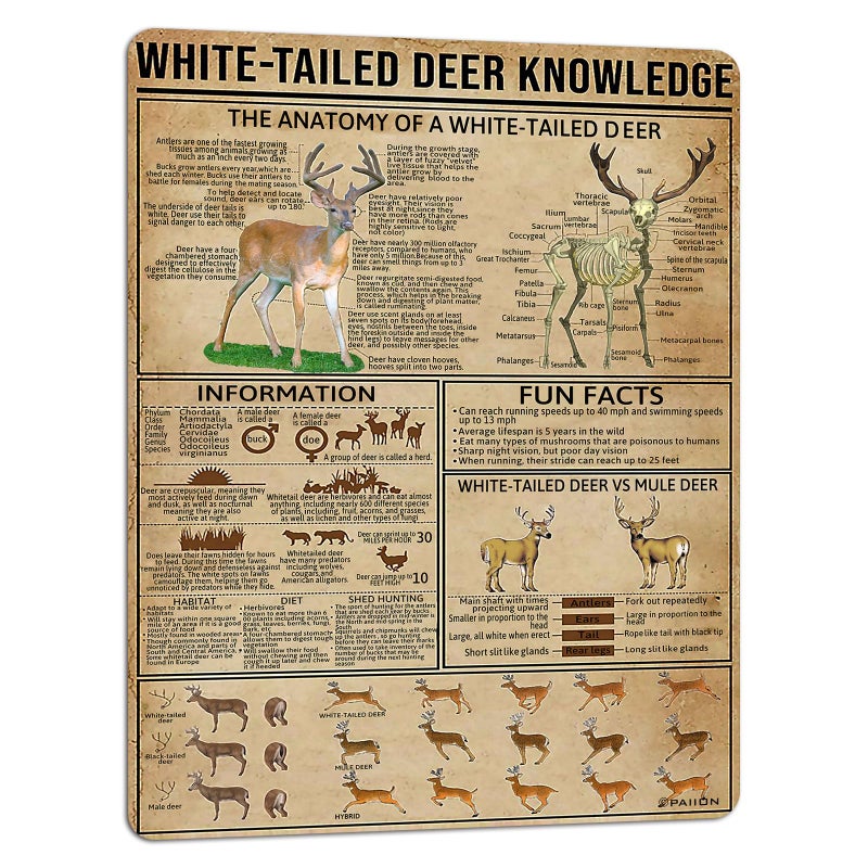 PAIION Metal Tin Signs White-Tailed Deer Knowledge Hunting Knowledge Poster Unplaning Infographics Farmhouse Farm Home Kitchen Club Wall 16x12 Inch - Image 1