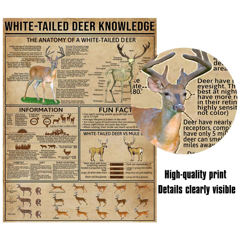 PAIION Metal Tin Signs White-Tailed Deer Knowledge Hunting Knowledge Poster Unplaning Infographics Farmhouse Farm Home Kitchen Club Wall 16x12 Inch - Image 2