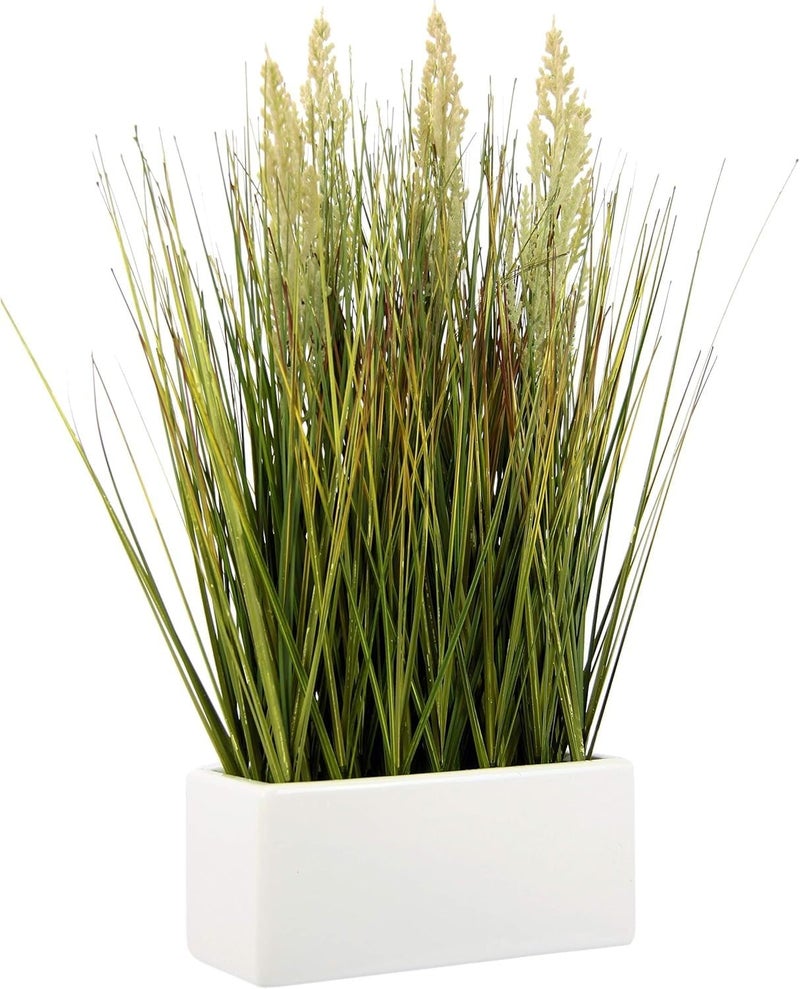 FOX FERN Onion Grass Artificial Plant with Ceramic Pot Elevate Any Corner of Your HomeOffice Ornamental Plant Best for Gifting Party Home Decor Pack of 1 Ht 46CM GAOGC1802B