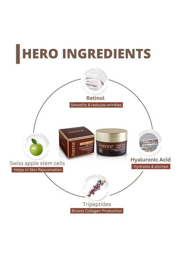 PERENNE Collagen Booster Night Cream With Retinol And Hyaluronic Acid For All Skin Types (50 Gm) - Reduces Fine Lines And Wrinkles, Skin Tightening And Brightening Cream - Image 4