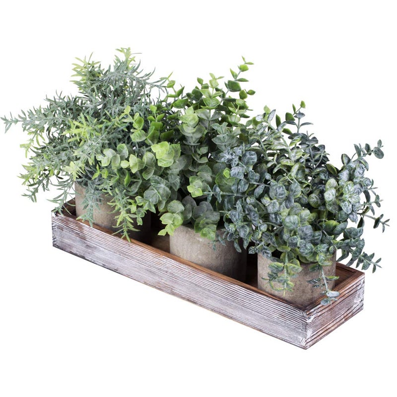 Winlyn Set of 3 Mini Potted Artificial Eucalyptus Plants Faux Rosemary Plant Assortment with Wood Planter Box for Indoor Office Desk Apartment Wedding Tabletop Greenery Decorations 87 Tall