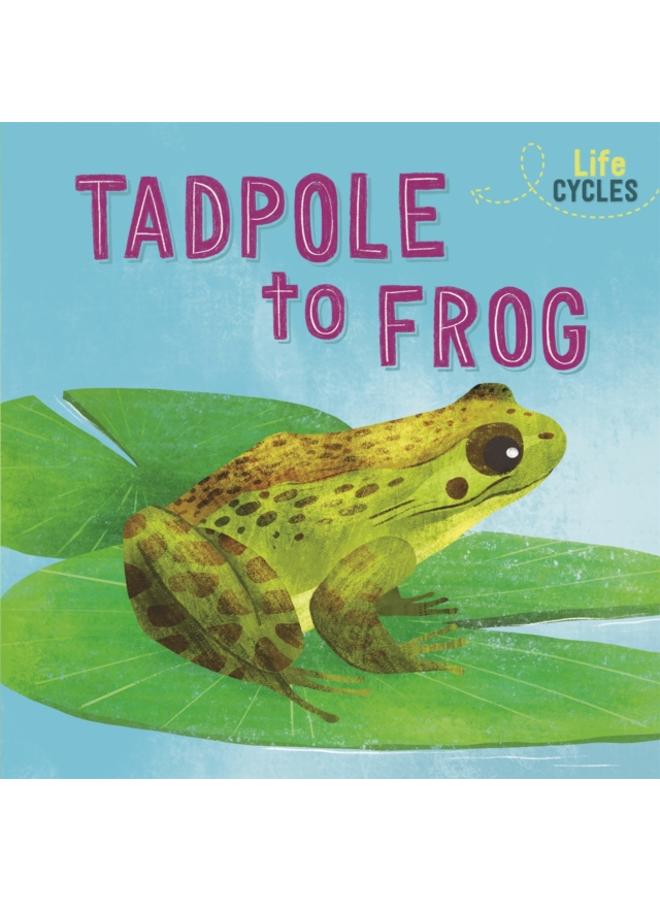 Life Cycles: From Tadpole to Frog 