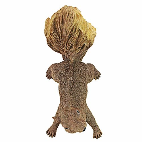 Design Toscano Simone, The Squirrel Hanging Sculpture - Image 3